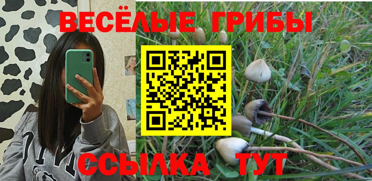 Галлюциногенные грибы мицелий Ростов Великий